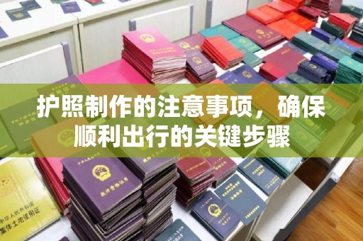 田阳护照制作的注意事项，确保顺利出行的关键步骤